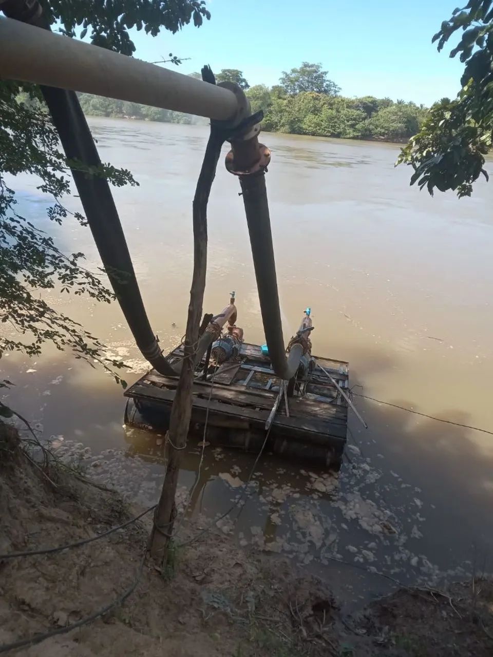 Fazenda Sertão Verde - MA, 72 ha - Foto 4