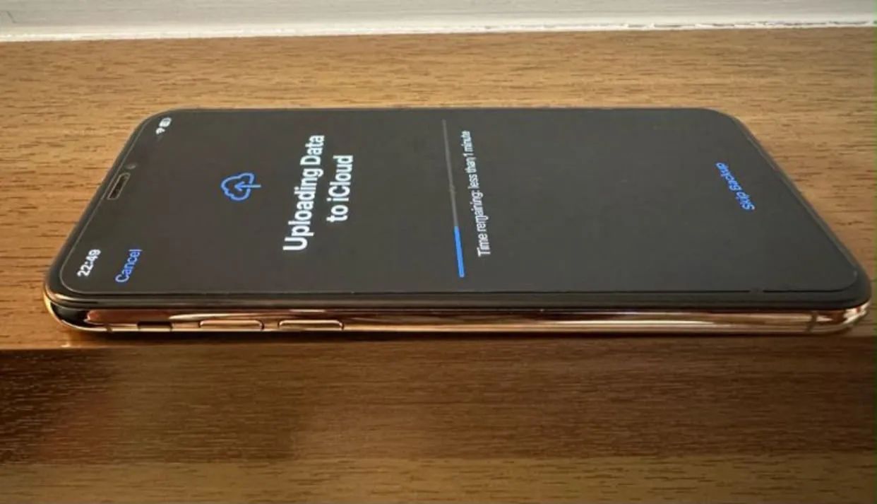 Celular iPhone XS Max