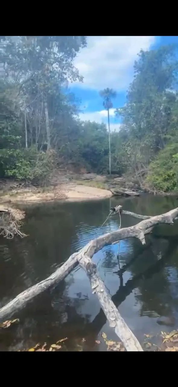 Chacara em varjão com corrego 