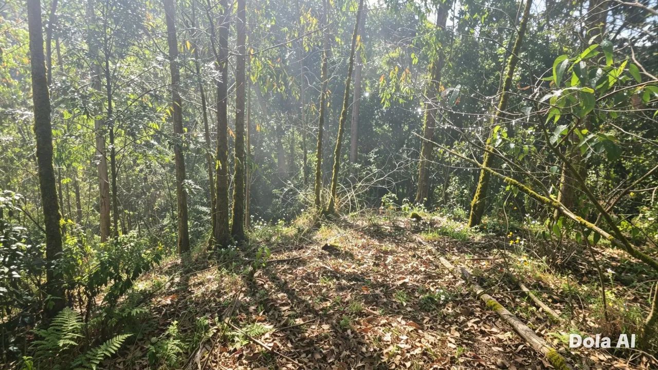 SÍTIOS E CHÁCARAS ESCRITURADOS EM ALTO TIJUCO PRETO- DOMINGOS MARTINS, PARCELO, TROCO LEIA - Foto 9