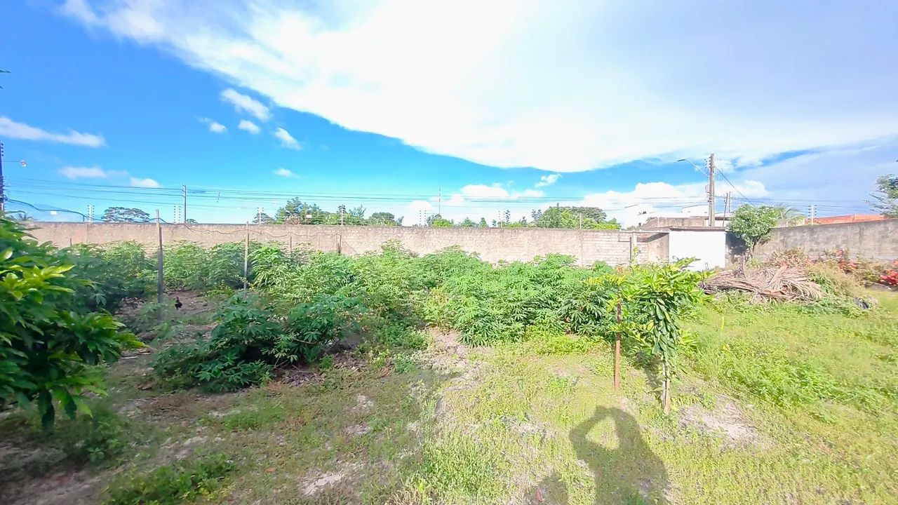 Chácara de 2475m² com acesso asfaltado no Araçagy  - Foto 4