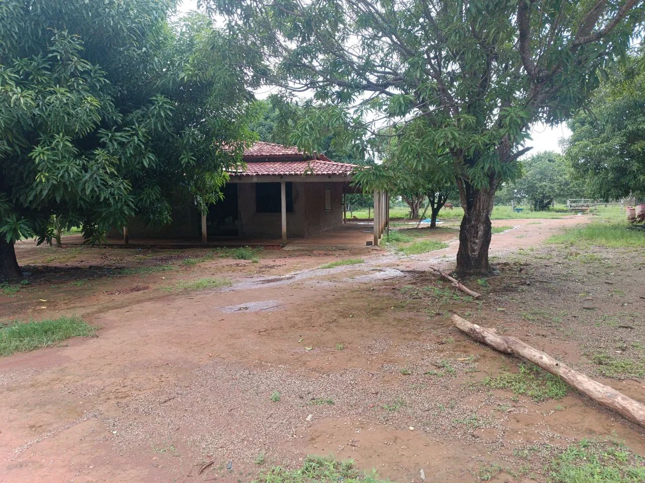 CHACARA EM PALMAS 