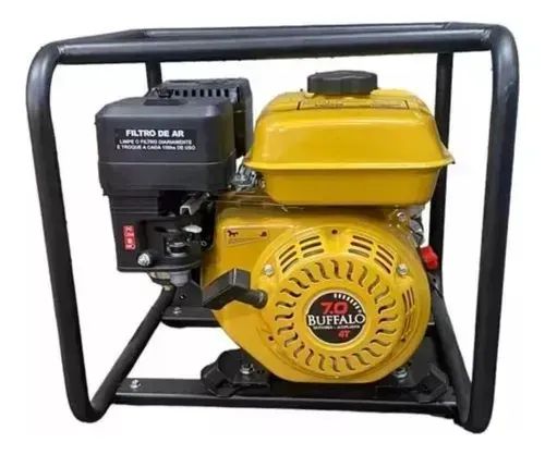 Motobomba Gasolina Centrífuga 2.1/2x2'' 7cv P Manual Buffalo - Foto 2