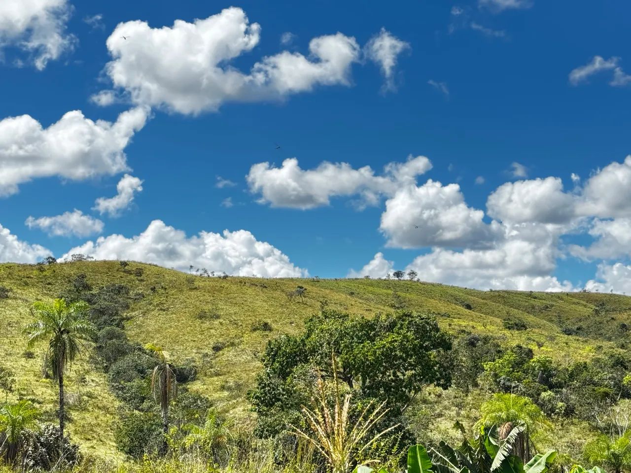 Fazenda com 134 hectares Chapada dos Veadeirosb - Foto 4