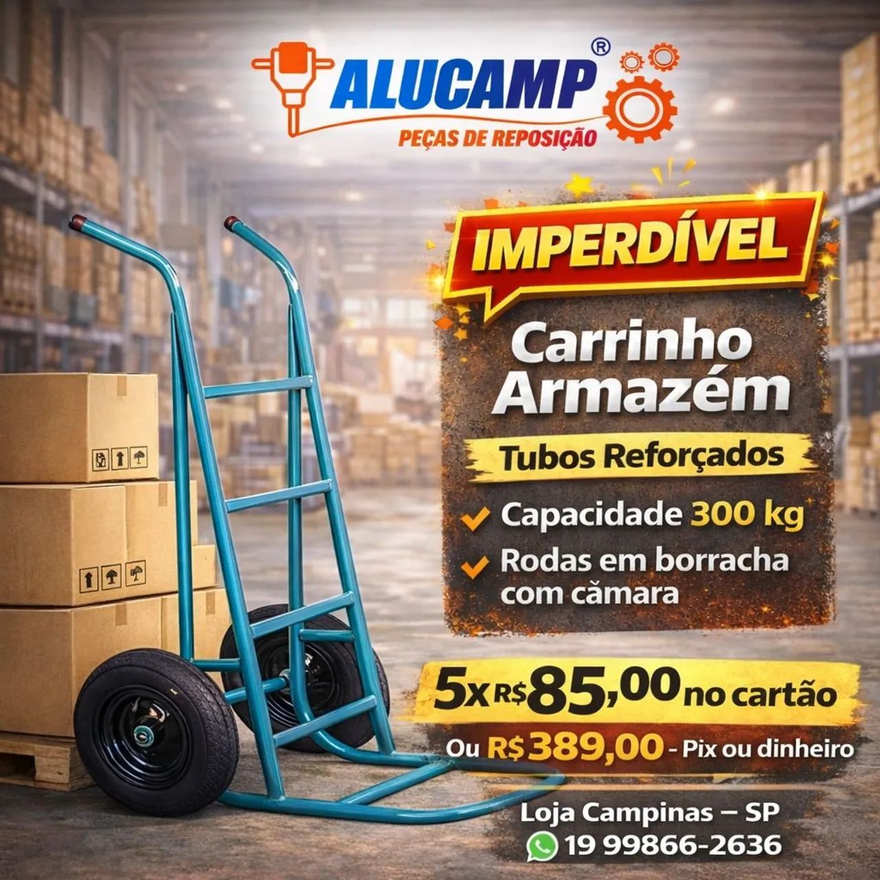 Carrinho de Carga armazém Reforçado 300 kg