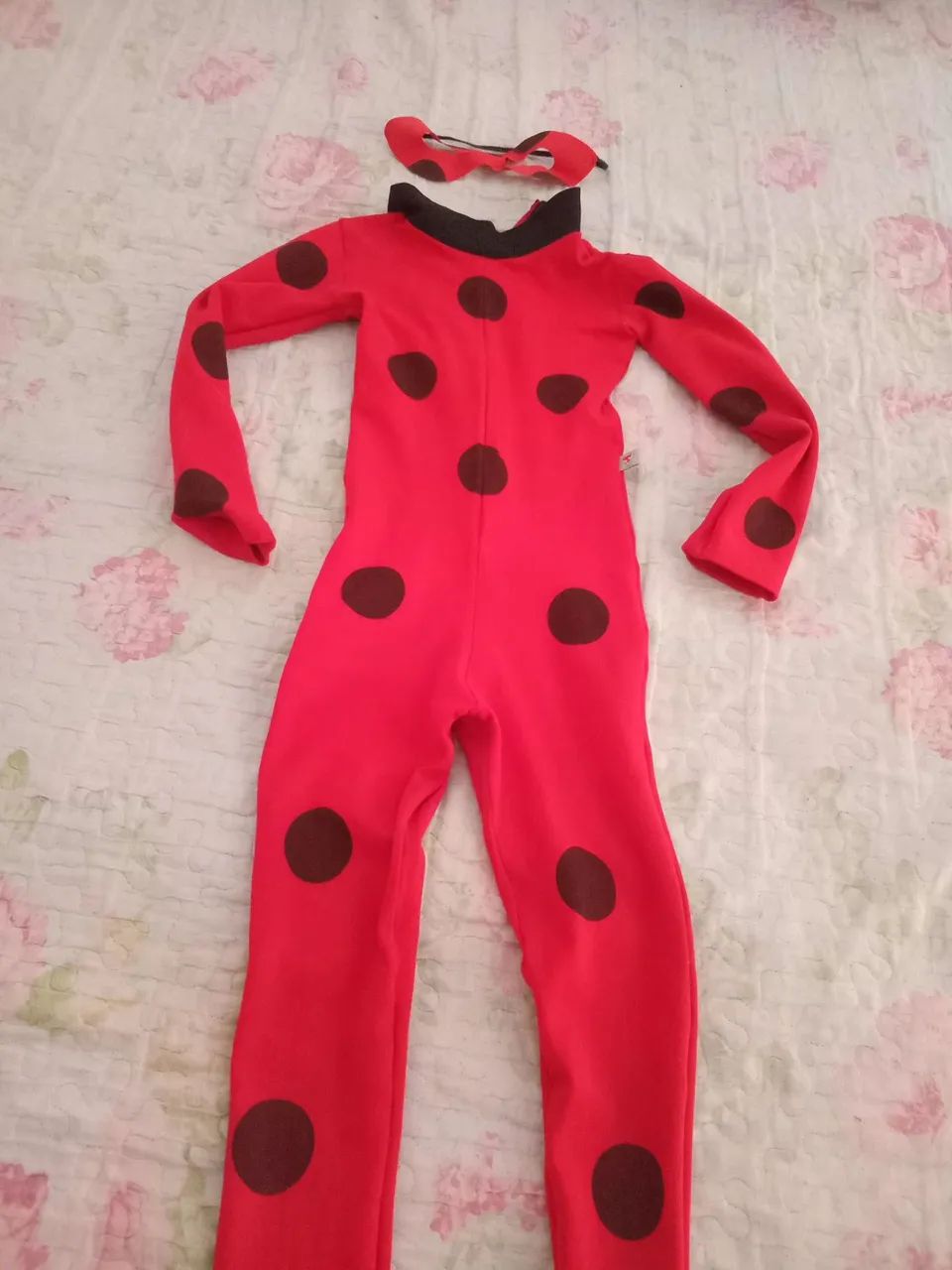 Fantasia da Ladybagg com máscara 