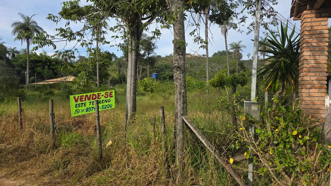 Terreno na paciencia 