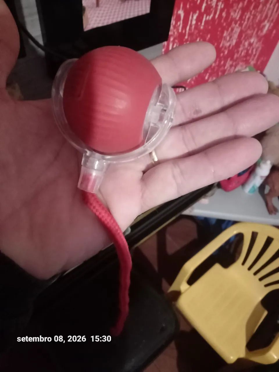 Kit de acessórios para gato  - Foto 4