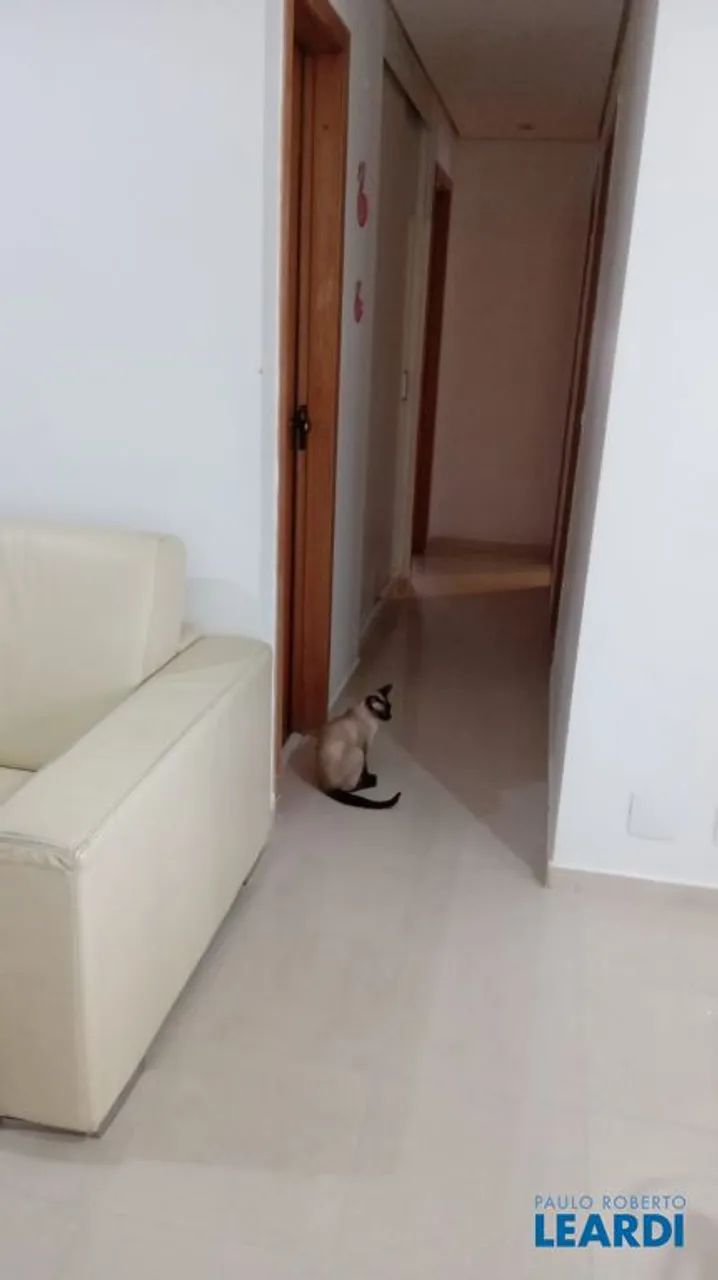 APARTAMENTO - ACLIMAÇÃO - SP - Foto 5
