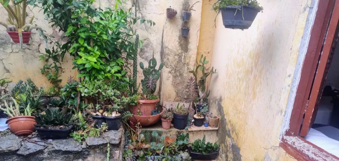 Casa de Fundos em Santa Tereza  - Foto 2