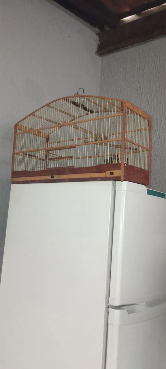 Gaiola - Foto 4