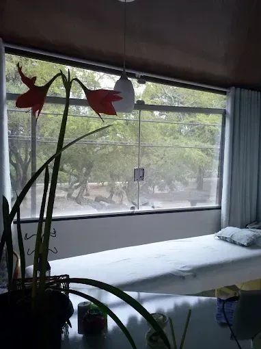 Aluguel de Sala Para Atendimentos