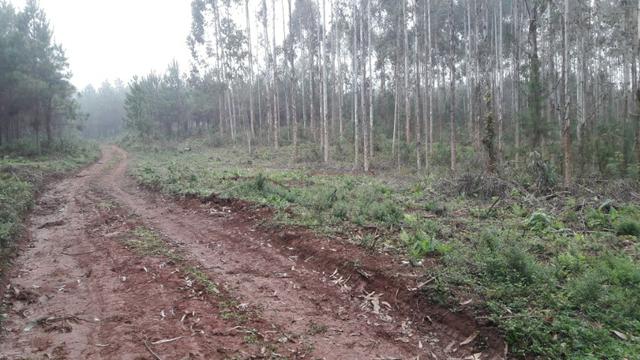 Terreno para fazer arado (mecanizar)