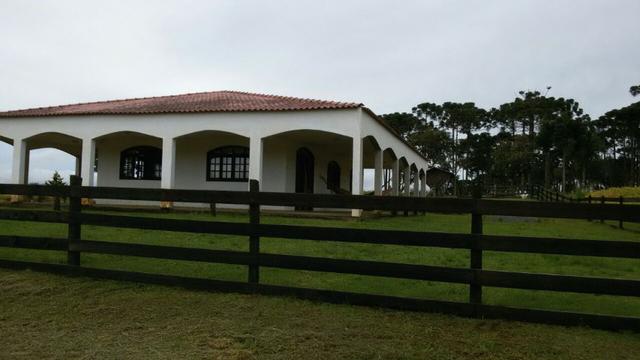 Fazenda /Lapa - Foto 4