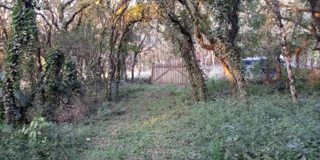 Chácara 3,2 Ha Fazenda Souza - Foto 2