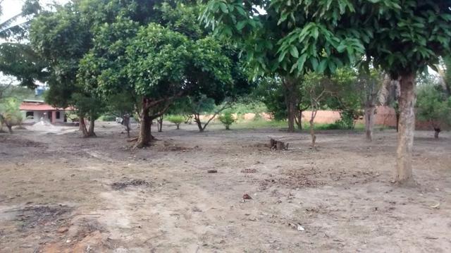 Lindo Sitio em São Jose dos Índios - Estrada de Ribamar * - Foto 10