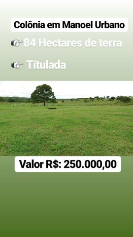 Colônia com 84 Hectares de terra Titulada