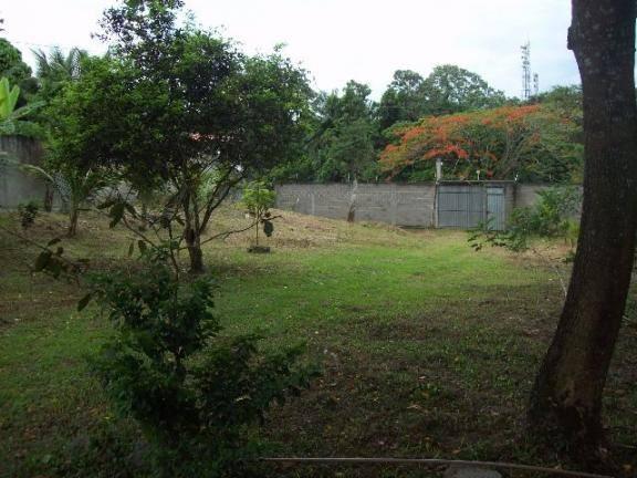 Sítio todo murado com área de 3000 m² - Foto 2