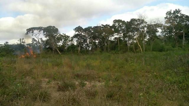 50 hectares valor 45000 região na região de bom Jardim - Foto 2