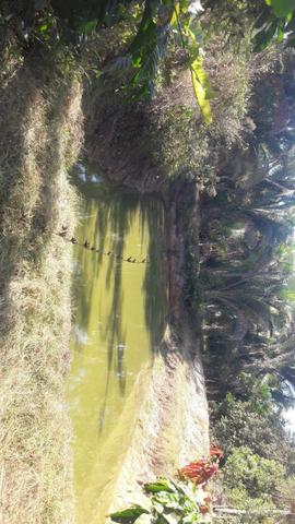 Chácara 7,hac beira do rio municípi de rosario - Foto 3