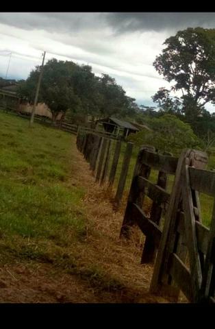 Vendo esta Colônia - Foto 3