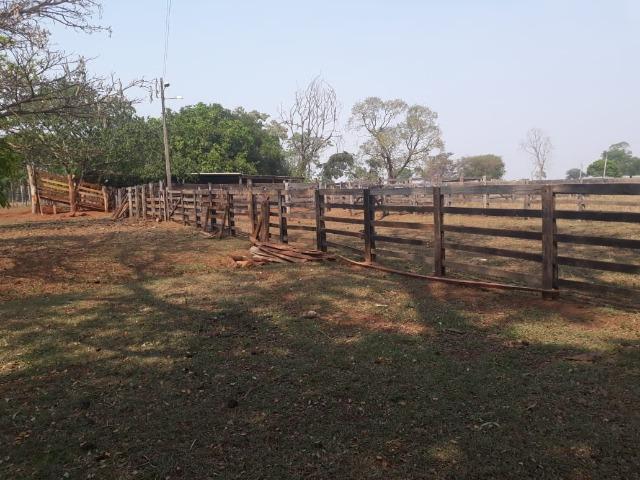 Fazenda 70 Alqueires - região Paranaíba - F100519 - Foto 15