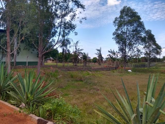 Chácara de 6.5 Hectares, 4 bocas - Foto 2