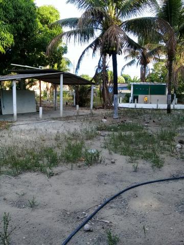 Vende-se sítio - Foto 2