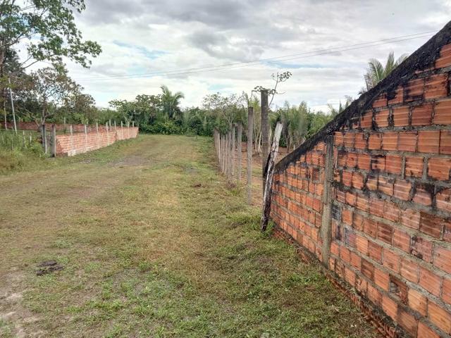 Venda de um sítio em Bacabeira.zap 98( * - Foto 6