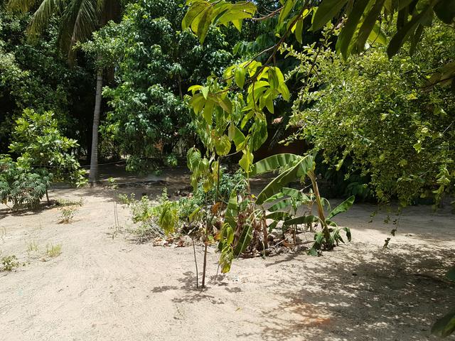 Venda - Foto 2