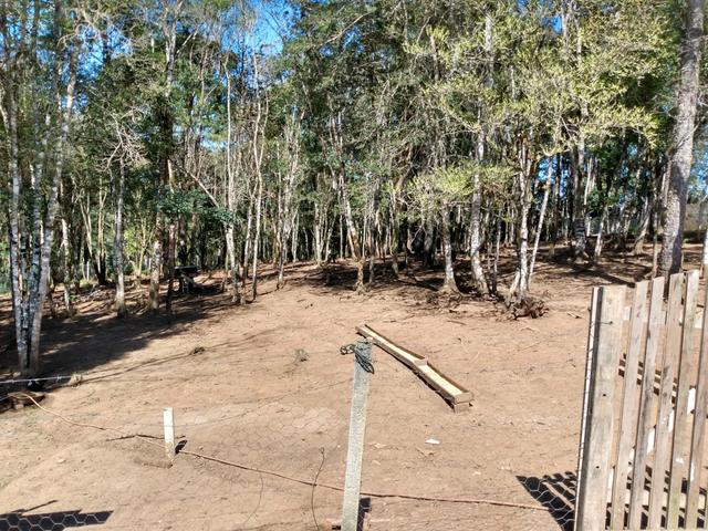 Chacara a venda ou permuta por imovel em Curitiba e litoral - Foto 5