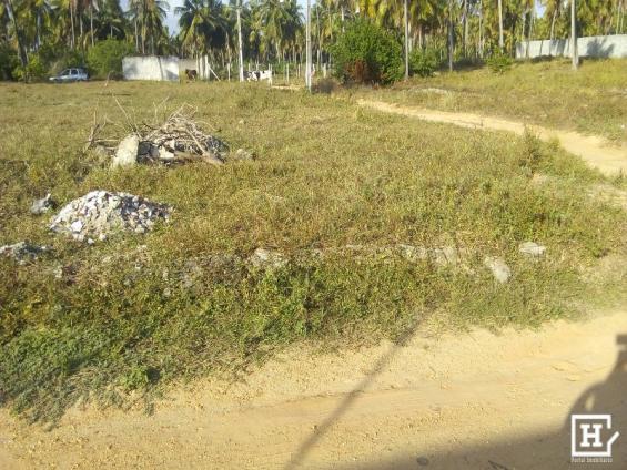 Terreno à venda - mosqueiro (zona de expansão) - Foto 3
