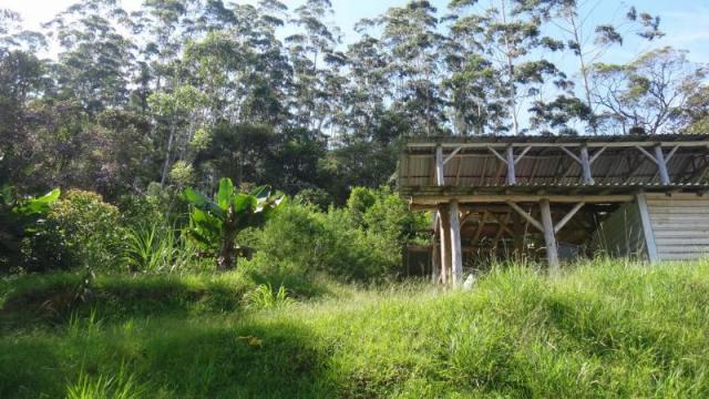 Casa à venda com 0 dormitórios em Santa catarina, Joinville cod:22 - Foto 12