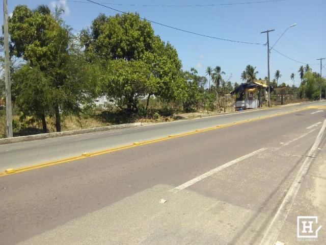 Terreno à venda - mosqueiro (zona de expansão) - Foto 7