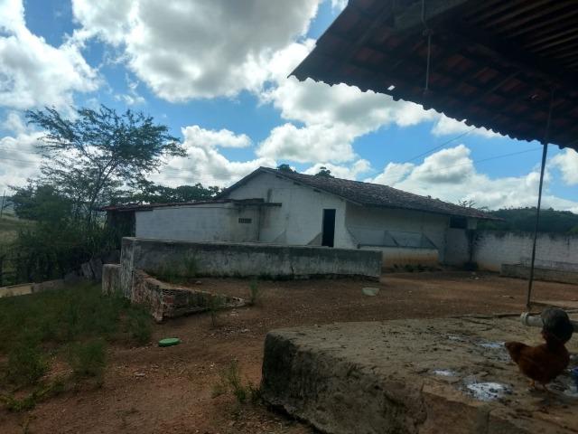 Propriedade de 13.5 hectares, escriturada, entre Glória do Goitá e Pombos-PE - Foto 9