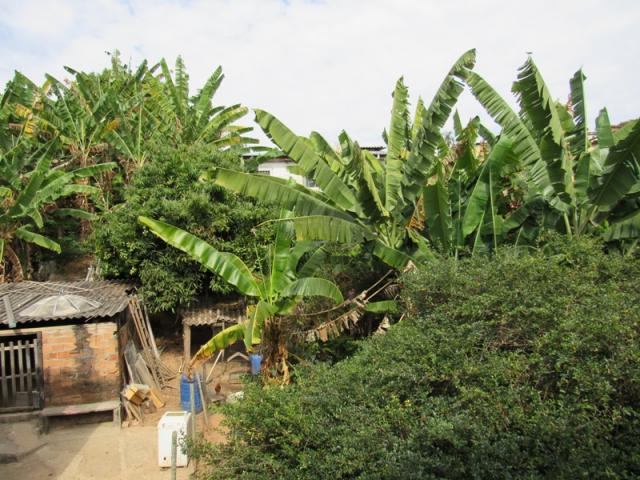 Rm imóveis vende ótima casa de 03 quartos no caiçara, ótima localização! - Foto 18