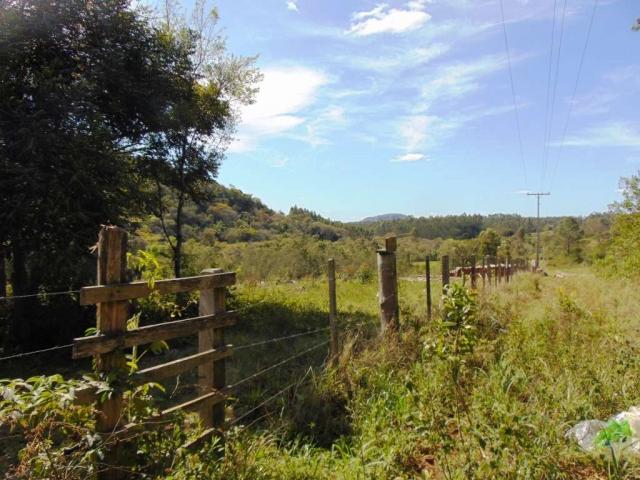 Área de Terras em Muda Boi em Montenegro - 03 - Foto 5