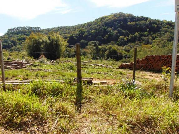 Área de Terras em Muda Boi em Montenegro - 03 - Foto 8