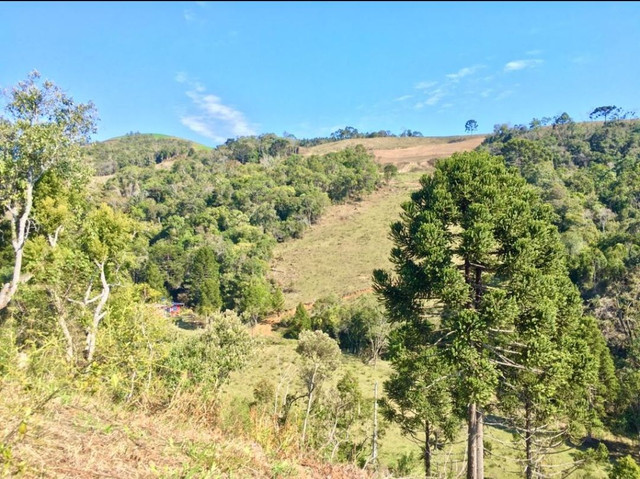 Lindo sítio em Alfredo Wagner - Foto 3
