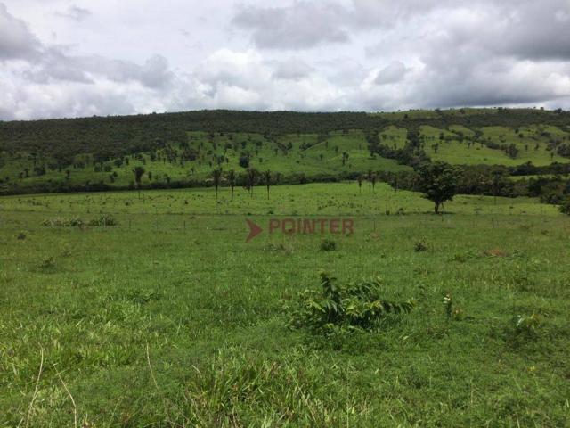 Fazenda com 4 dormitórios à venda, 310 alqueirão cidade de deus - cocalzinho de goiás/go - Foto 13