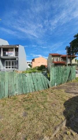 Terreno à venda em Aberta dos morros, Porto alegre cod:MI14799 - Foto 2