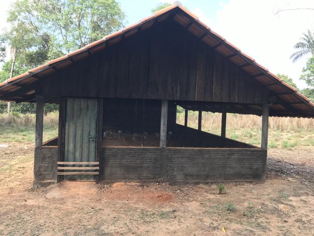 Excelente Fazenda para criação de gado - Foto 19
