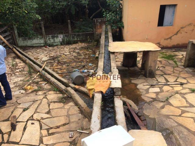 Fazenda com 4 dormitórios à venda, 310 alqueirão cidade de deus - cocalzinho de goiás/go - Foto 17