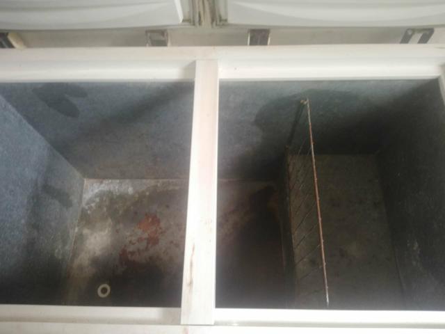 Freezer Electrolux - Foto 2