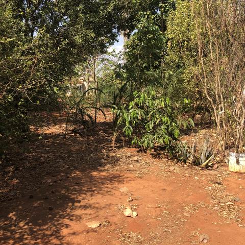 Chacrinha com 2000 m² perto de Uruana
