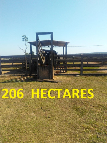 Linda Fazenda com 206 Hectares Campo Grande - Foto 19