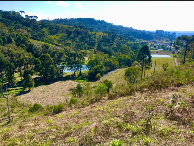 Lindo sítio em Alfredo Wagner - Foto 2