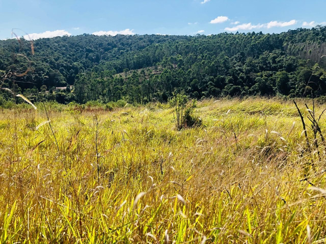 seu terreno de 1000m2 pra sua chacrinha a 15minutos de Mairinque (De@ - Foto 8
