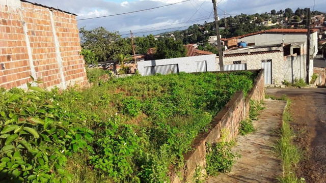 Venda - Foto 2