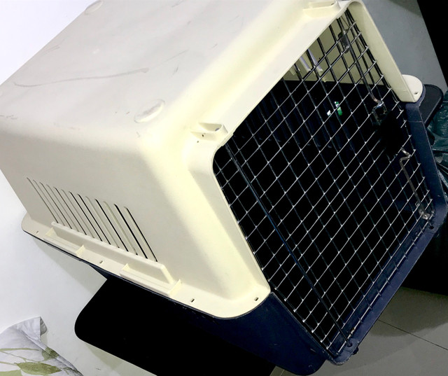 Caixa de transporte para cães - Foto 3